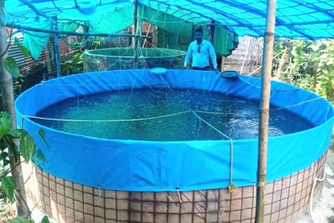 The Economic and Environmental Benefits of Biofloc Tanks
